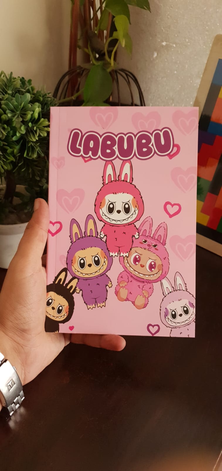 Labubu A5 Diary