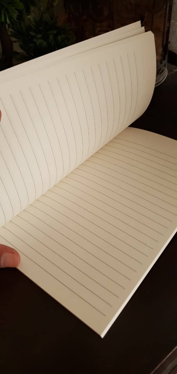 Labubu A5 Diary