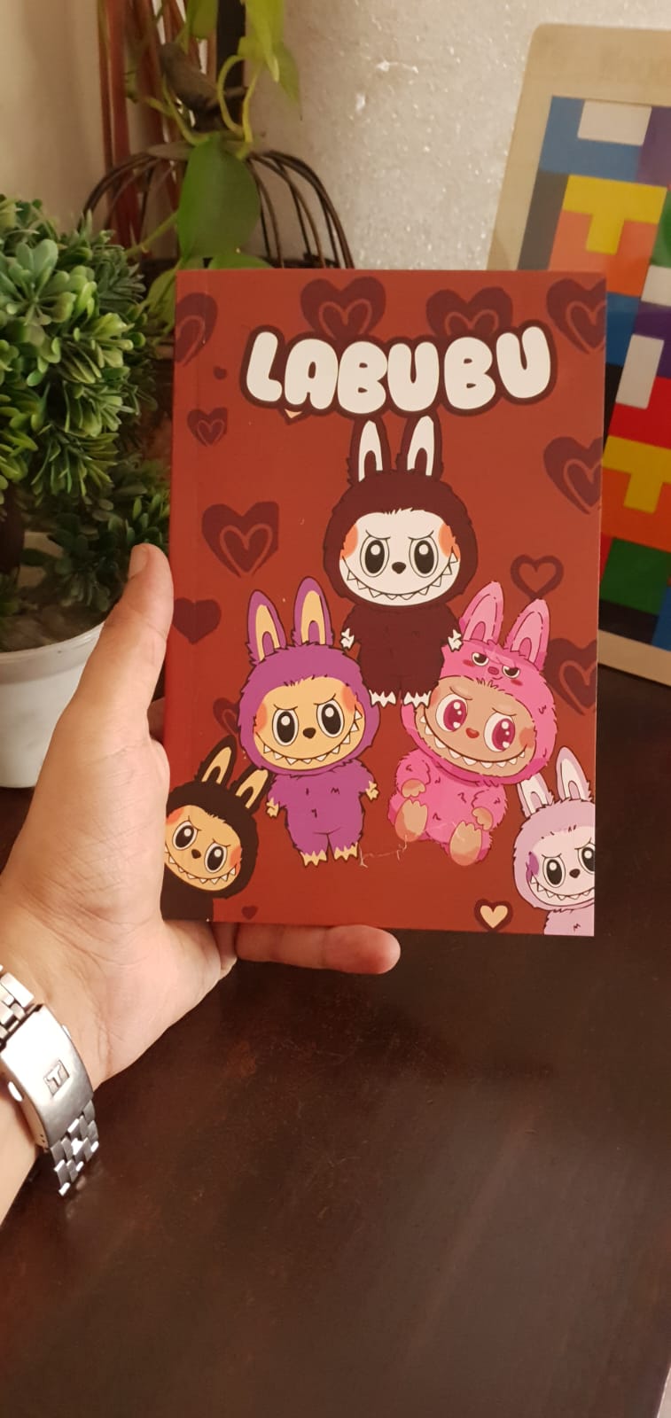 Labubu A5 Diary