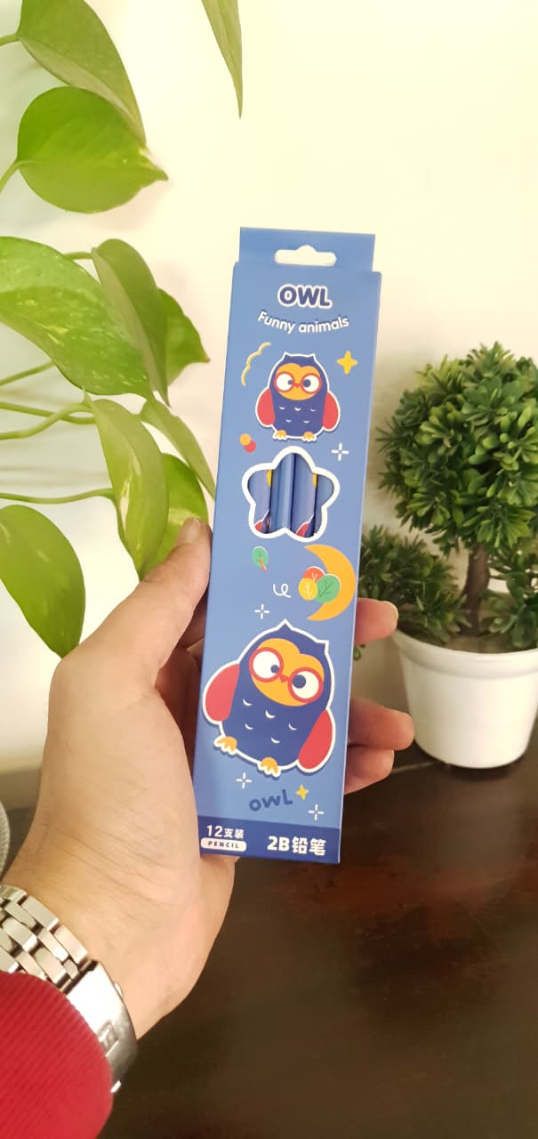 Animal Theme Pencil Set